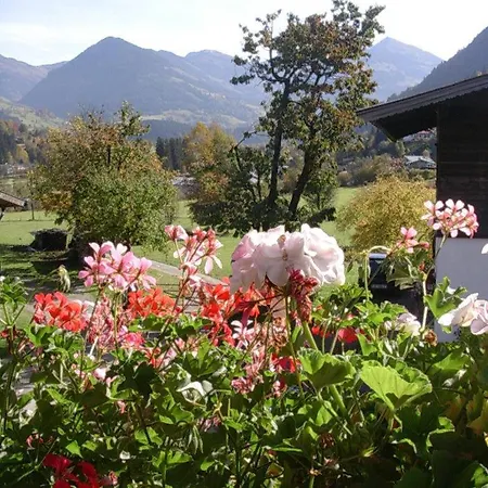 Oda ve Kahvaltı Malernhof 3*