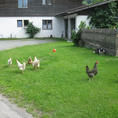Malernhof Frühstückspension Kitzbühel
