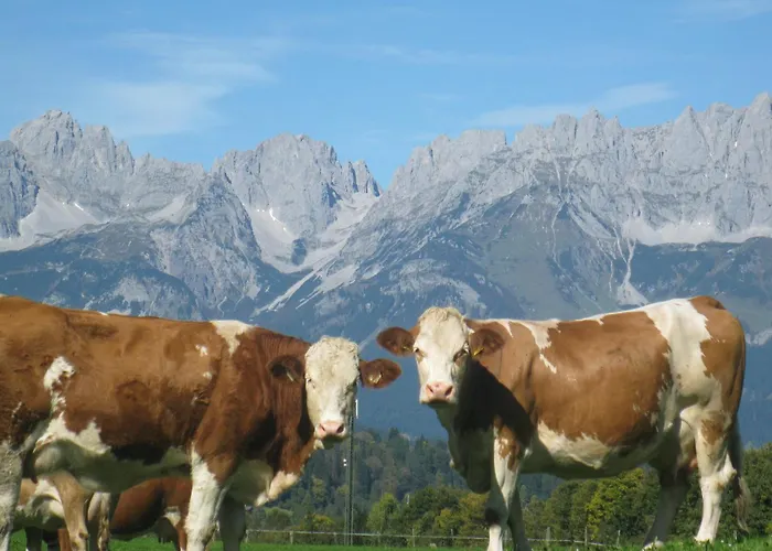 Alojamento de Acomodação e Pequeno-almoço Malernhof