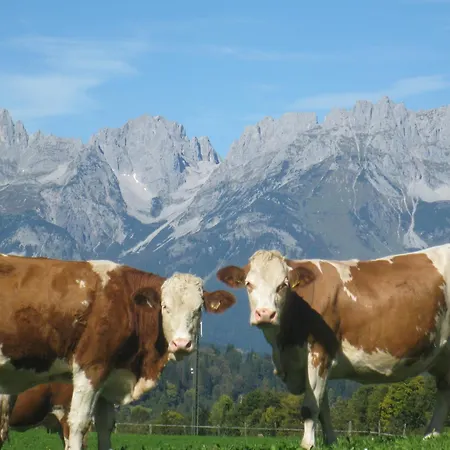 Bed and breakfast Malernhof