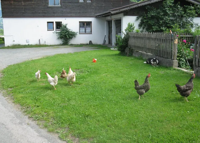 Malernhof Bed and breakfast Kitzbühel
